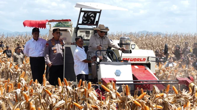 Prabowo Subianto Pimpin Panen Raya Jagung di Tuban, Polri dan Petani Siap Wujudkan Swasembada
