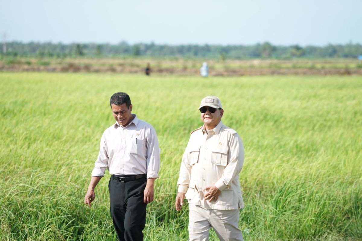 Mentan Beberkan Strategi Pengembangan Kedelai Lokal, Harga di Tingkat Petani Jadi Kunci
