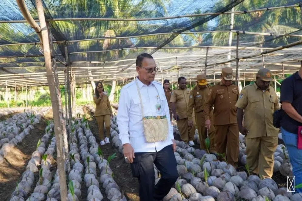 Strategi Baru Kementan! Hilirisasi Komoditas Perkebunan di Nabire Siap Dongkrak Ekonomi