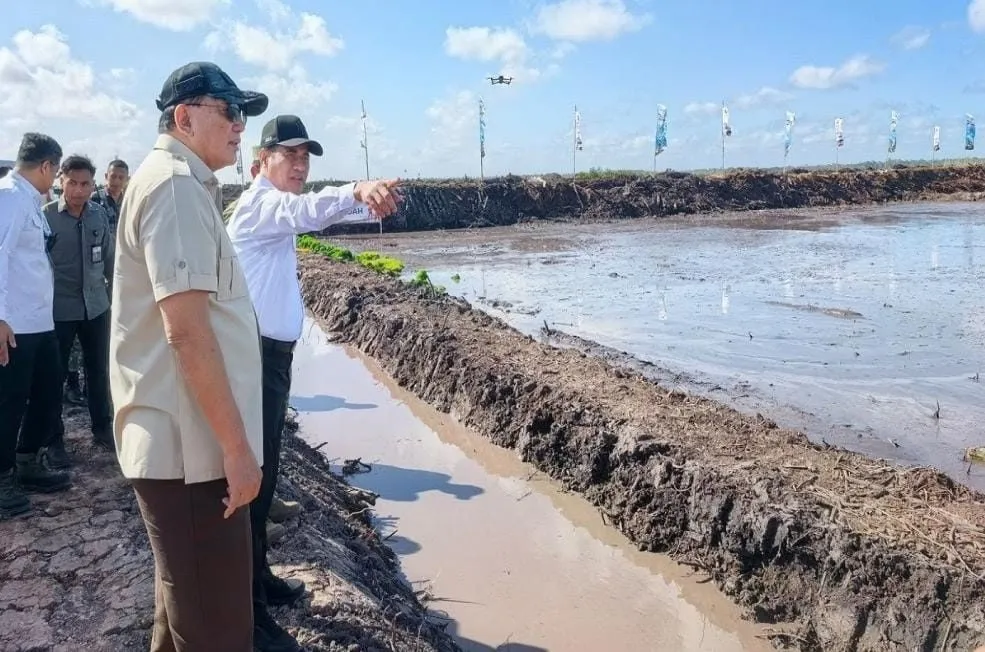 Mentan Amran Tambah Anggaran Pertanian Papua, Dorong Wanam Menuju Kesejahteraan