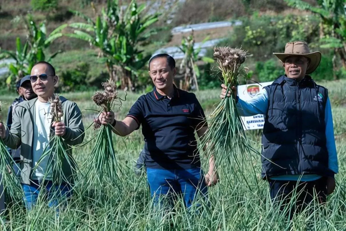 Polri Dukung Swasembada Pangan Nasional lewat Pengembangan Budi Daya Bawang Putih di NTB