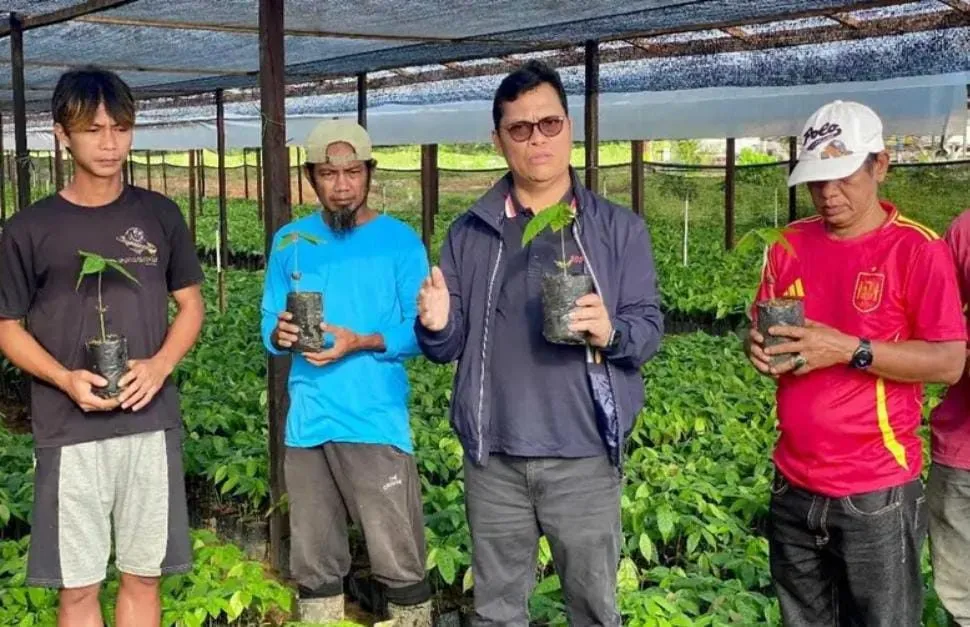 Hasan Basri Tinjau Penyemaian 1 Juta Bibit Kakao Gratis untuk Petani Kalimantan Utara