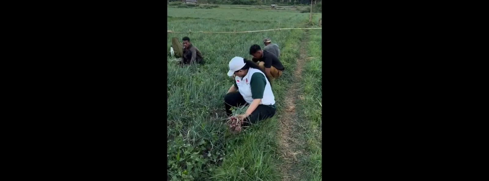 Pascabencana Gempa, Petani NTT Buktikan Ketangguhan Lewat Panen Raya: Simbol Harapan dan Kebangkitan Ekonomi