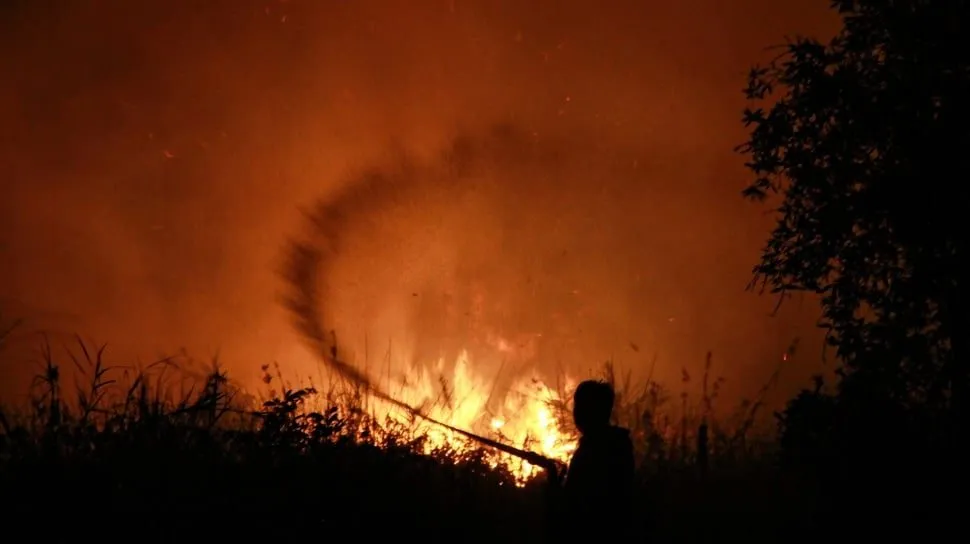 Karhutla Makin Serius, DPR Usul Hukuman Mati bagi Pelaku Pembakaran Hutan