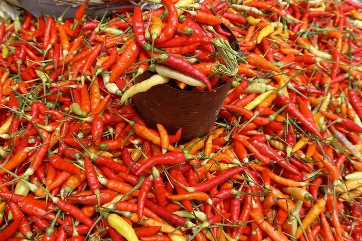 Harga Pangan Nasional Naik, Cabai Merah Keriting Tembus Rp122.500 per Kg