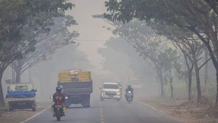 Kemenkes Catat 174.694 Kasus ISPA di Wilayah Terdampak Karhutla, 40 Ribu Lebih Balita